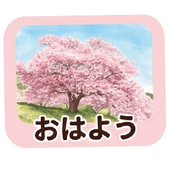 my treasure_20260322064015