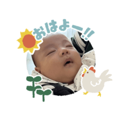 hichan_20260322071953