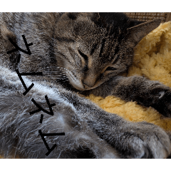 lovelin_20260322124618