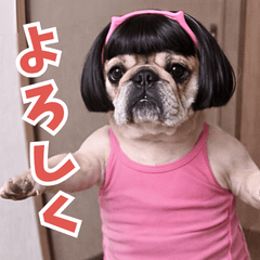 ❤️毎日使えるパグ【ペットシリーズ】❤️