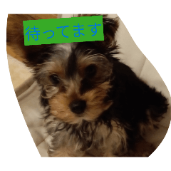 kasutado_20260322130202