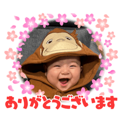 kisamama_20260322125823