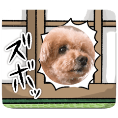 Lucly.2