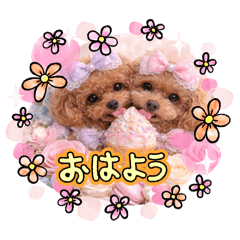 chi.louis.migi_20260322130659