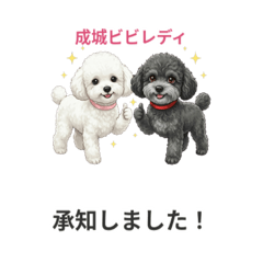 E-Family_20260322130755