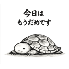 Quiet Turtle Daily Stickers