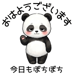 Sleepy Panda Morning Greetings