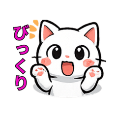 Expressive White Cat Stickers-K
