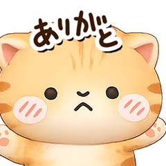 Lazy Cute Tiger cat2