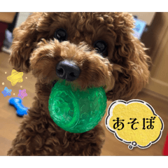 makaron_20260322083111