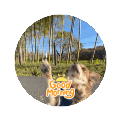 Rinon_20260323083230