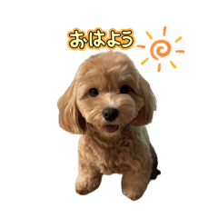 mie_20260322092932