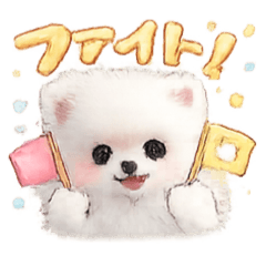 Toshi_20260322092155