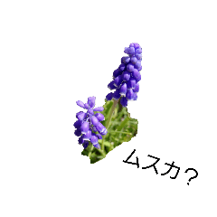 h.w_20260322140032