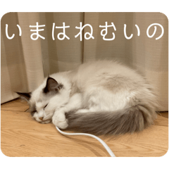 Creative_20260322154422