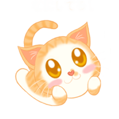 Cheese Cat's Daily Life