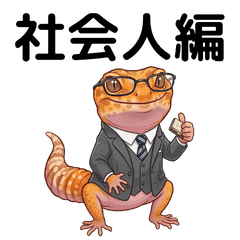 Working days of a Leopard gecko