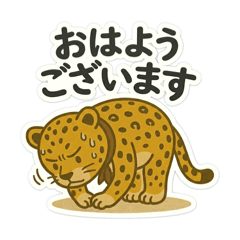 Leopard | Overly Polite Worker