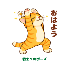 Munchkin Kitten Yoga Class