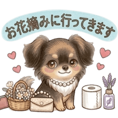 Chocolate Tan Chiweenie Polite Stickers