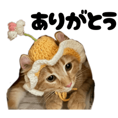 makoto_20260322094235