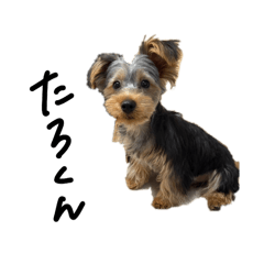 Hello_20260322111632