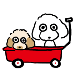 KOHARU&MOMO toypoodle