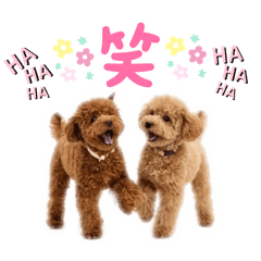 MATSUMOTO_20260322112447