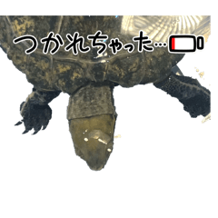 Keito_20260322161331