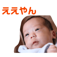 sheeeep_20260322161038