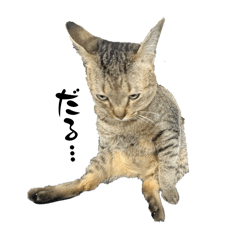 Naruru_20260320224959