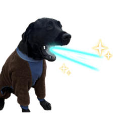 Koto1224_20260320222841