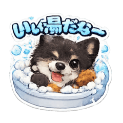 Manami_20260321000354