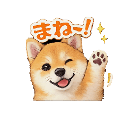 KENTATTA_20260322113406