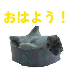 Marunisidayo_20260322201310
