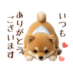 Wool Shiba (Polite Style)