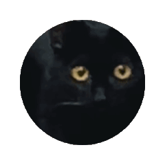 makitam_20260320234020