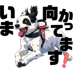 sheril mama_20260320231859