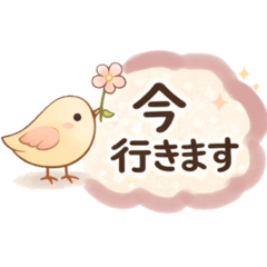 Chika kobo_20260321010435