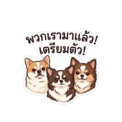 TONY08_20260322134617