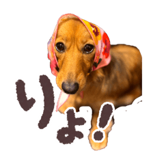 yuzukiti_20260322172633