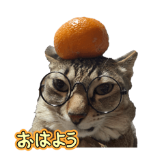 Monaca_20260322192700