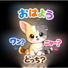 Chiwatisshu Dog or Cat