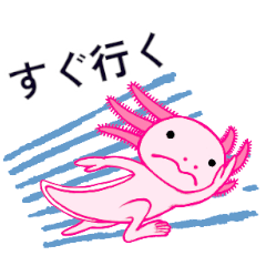 An axolotl identified as a rabbit by AI