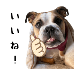 hijiri_20260322193540