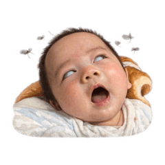 奇奇棣棣-松鼠寶寶迷因搞怪系列