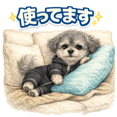 調皮奇娃噗 Happy的日常生活