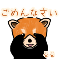 Ruru's lesser panda