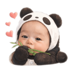 奇奇棣棣-胖達熊貓系列