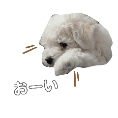 norimi_20260321072726